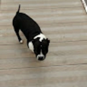 Meet your Posher, Eugene